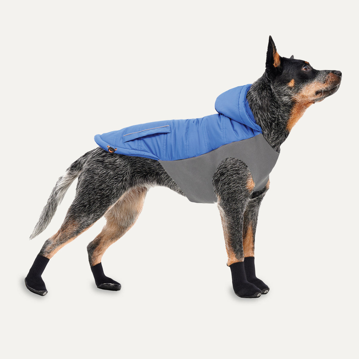 Good2go skidoo dog clearance coat