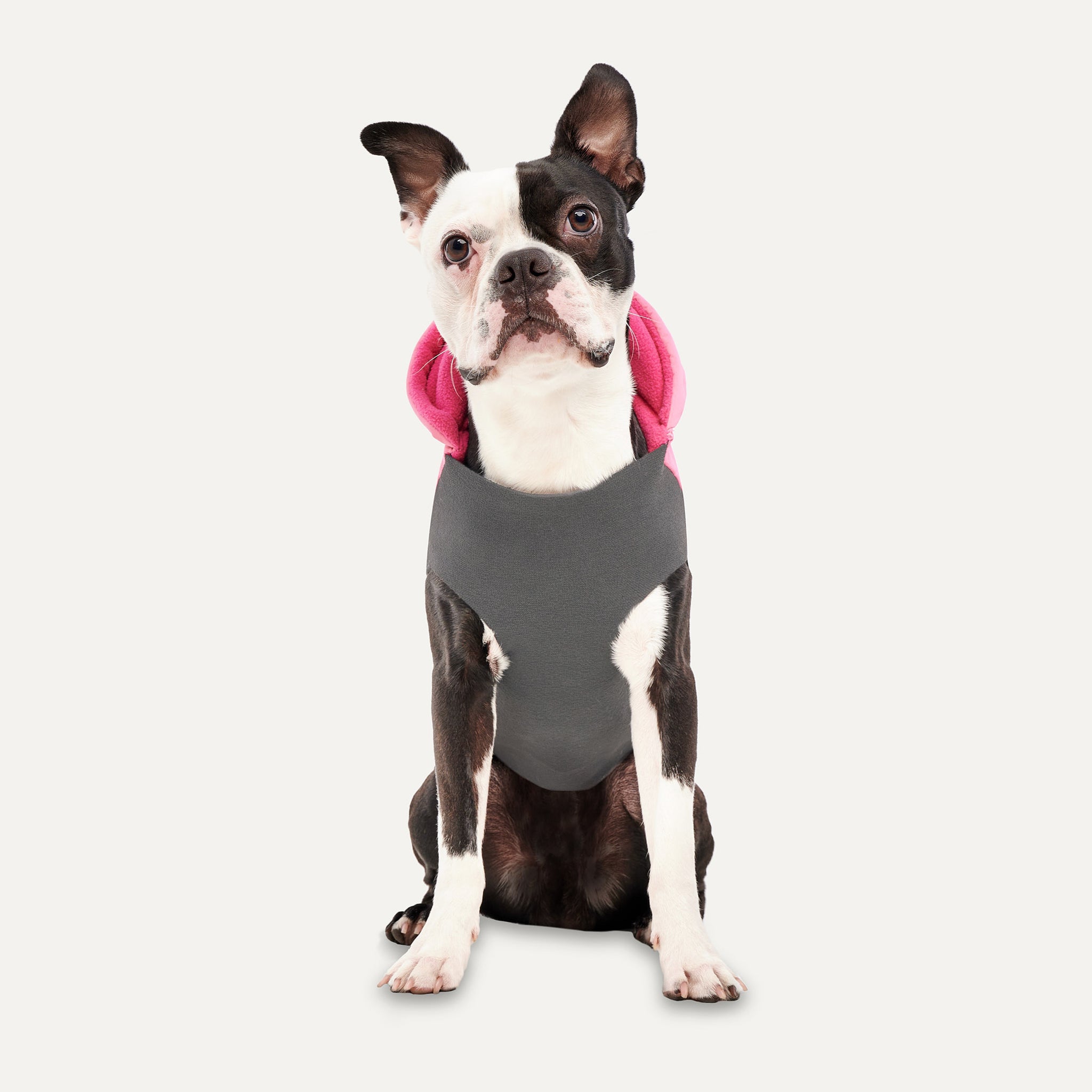 Hooded Signature Winter Jacket – Goo-eez