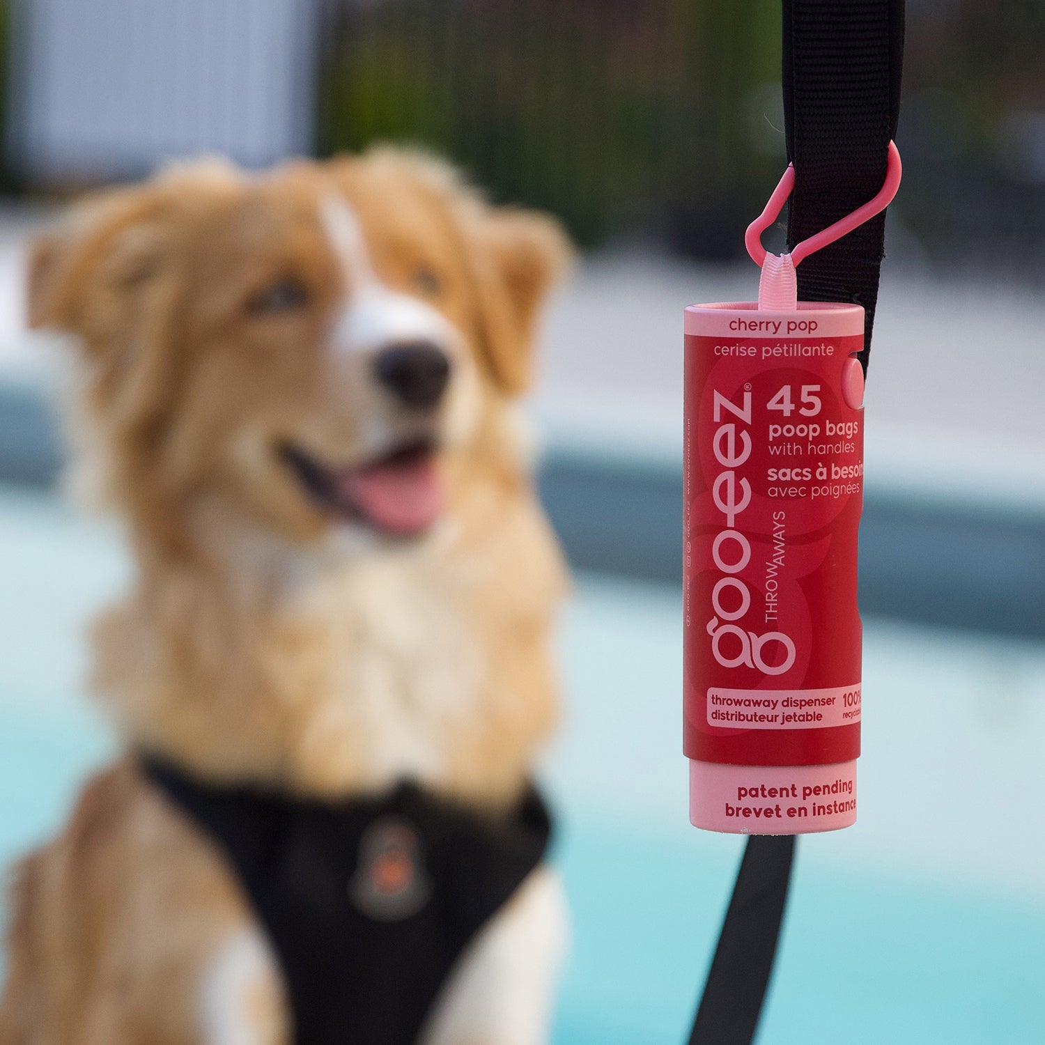 Goo-eez Throwaways | Patented Poop Bag Dispenser 3-Pack