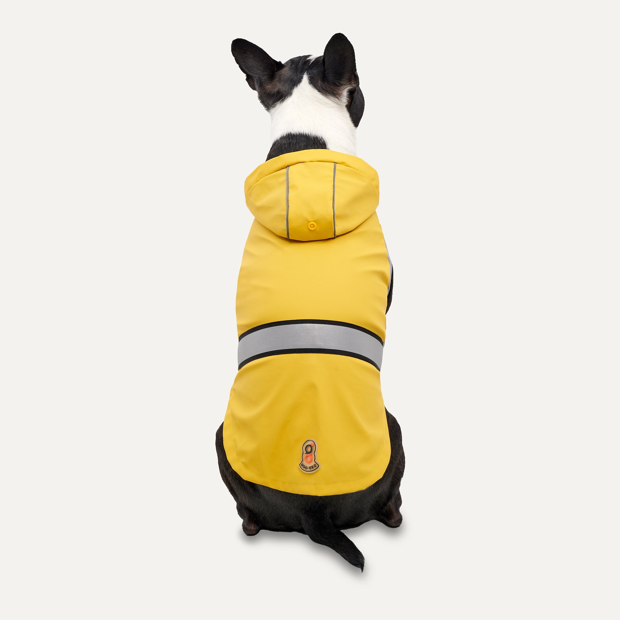 Puppy raincoat with hood best sale